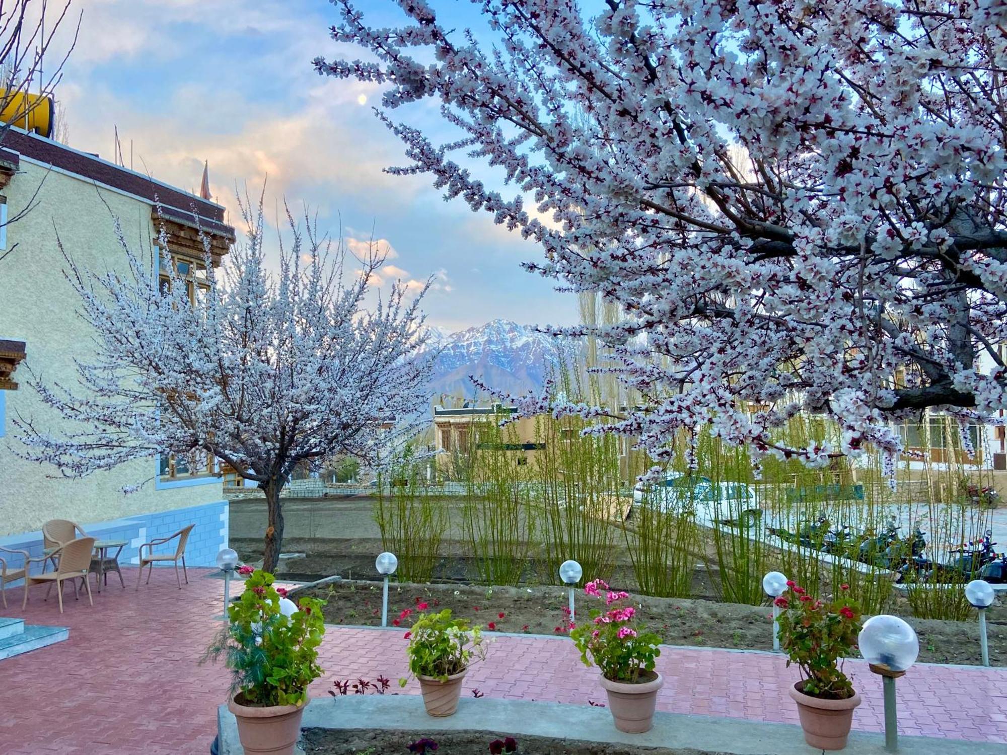Hotel Palam Hills Leh Exterior photo